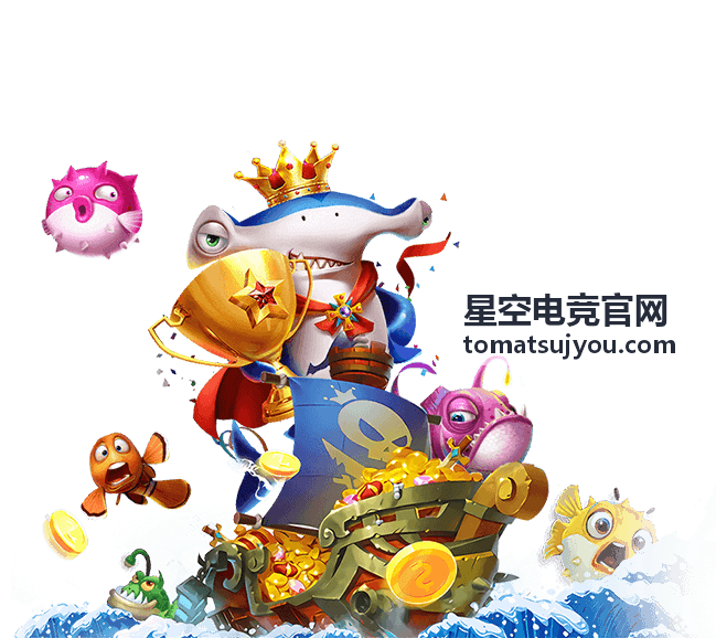 星空电竞官网赛事中心报名资格与赛程流程说明
