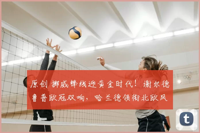 原创 挪威锋线迎黄金时代！谢尔德鲁普欧冠双响，哈兰德领衔北欧风暴已至