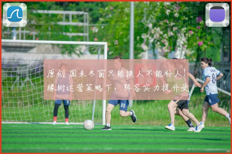 原创 国米冬窗只能换人不能补人！橡树运营策略下，阵容实力提升受限！