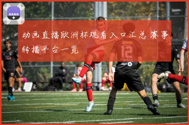 动画直播欧洲杯观看入口汇总 赛事转播平台一览