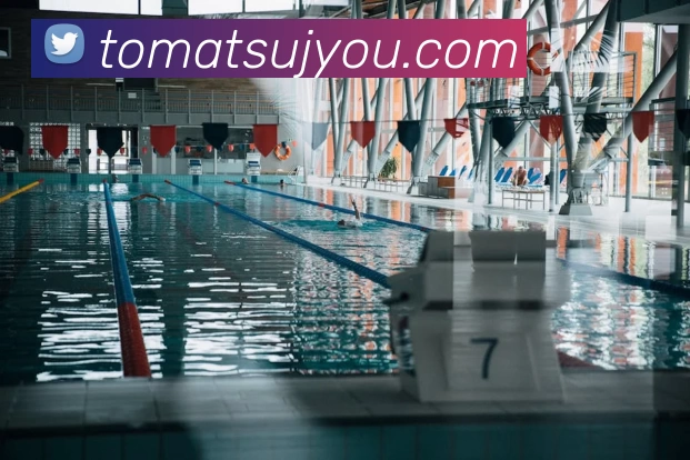 博亚体育app官网入口发展历程