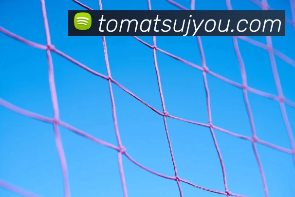 哈兰德无缘二零二零欧洲杯球队，挪威锋线调整及出线前景分析